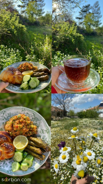 عکس سیزده بدر کارتونی