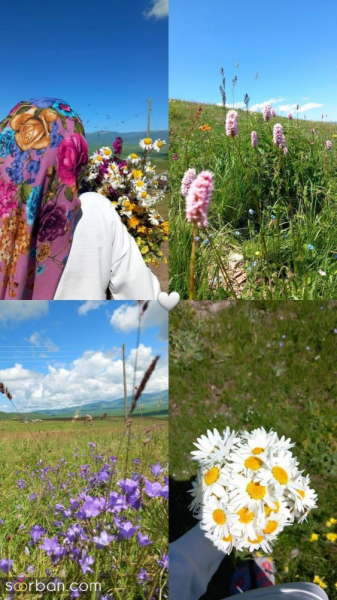 عکس سیزده بدر کارتونی