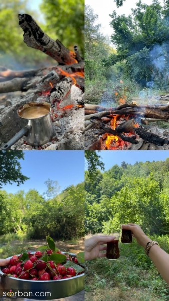 عکس سیزده بدر بدون متن