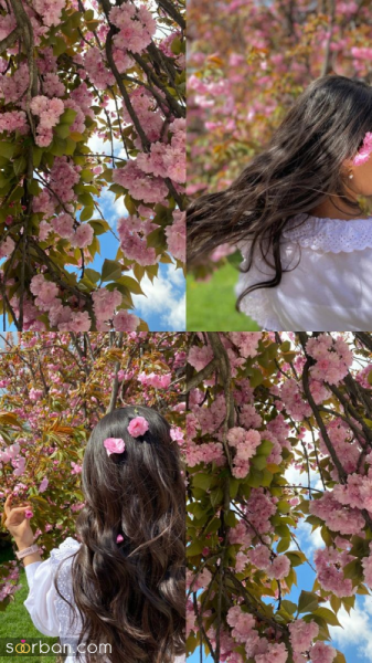  عکس های سیزده بدر با کیفیت بالا