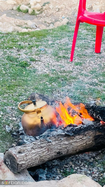 عکس سیزده بدر بدون متن