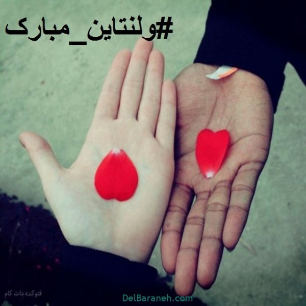  دانلود عکس ولنتاین جدید