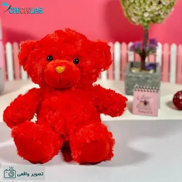  عکس خرس ولنتاین بزرگ