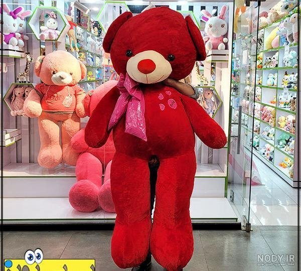  عکس خرس ولنتاین بزرگ