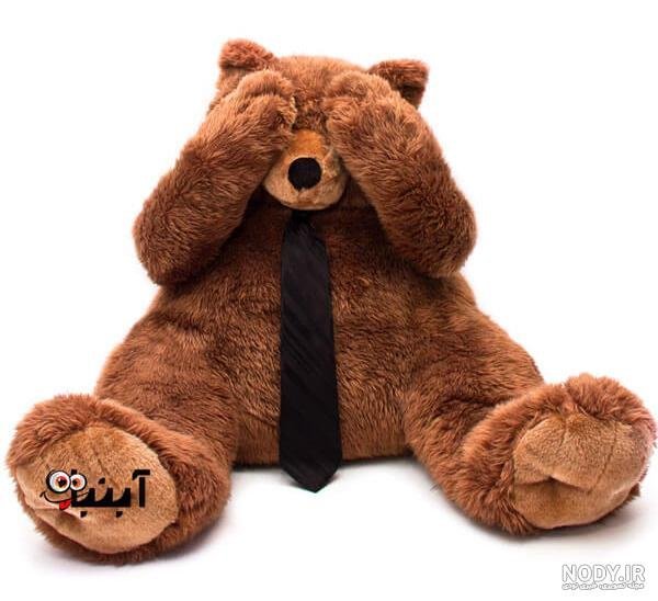  عکس خرس ولنتاین بزرگ