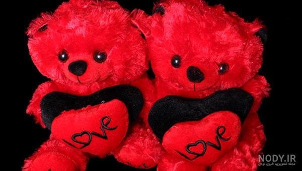  عکس خرس ولنتاین بزرگ