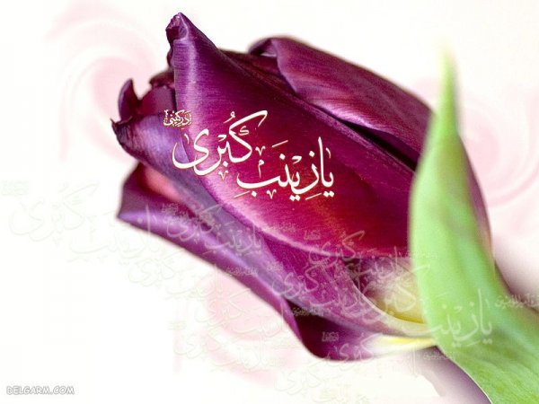 عکس پروفایل حضرت زینب و امام حسین