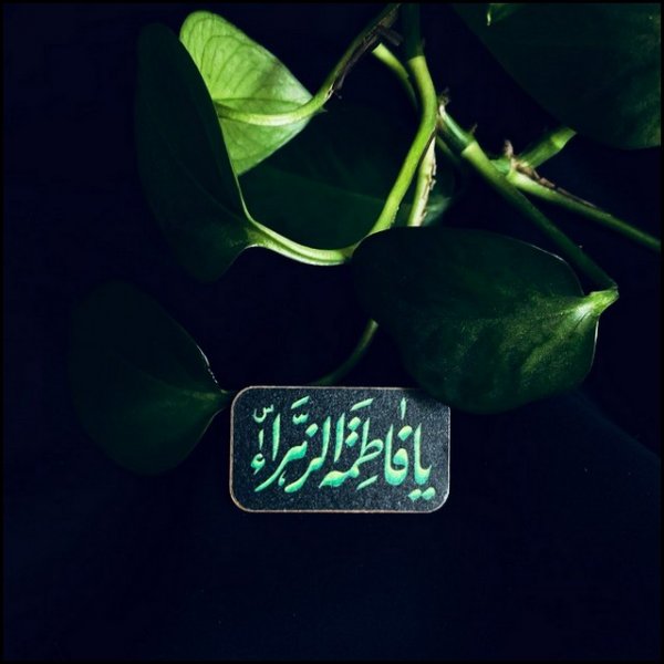  عکس تسلیت شهادت حضرت زهرا استوری