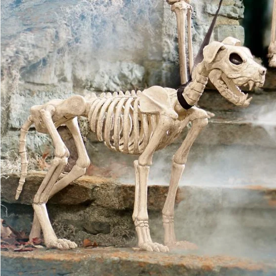  عکس هالووین ترسناک واقعی