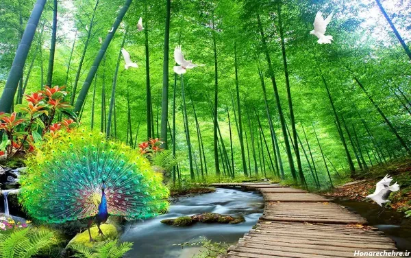  عکس جنگل بهاری