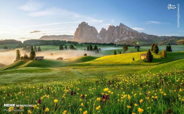  دانلود تصویر بهار و گل های زیبا