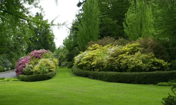  عکس بهار سبز