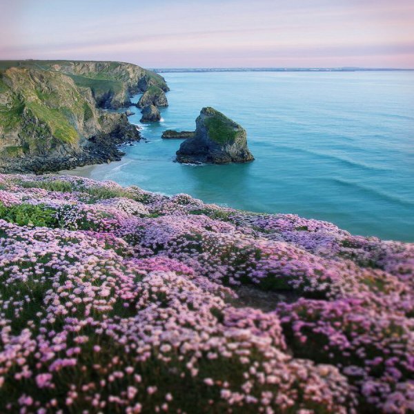  عکس بهار واقعی