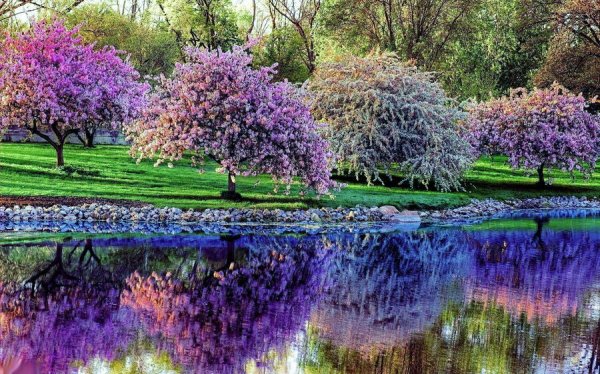  عکس بهار واقعی