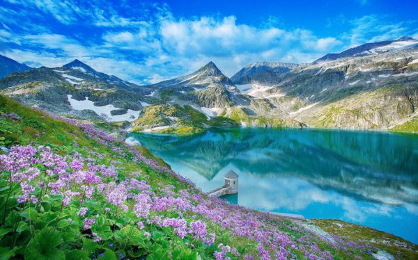  عکس بهار واقعی