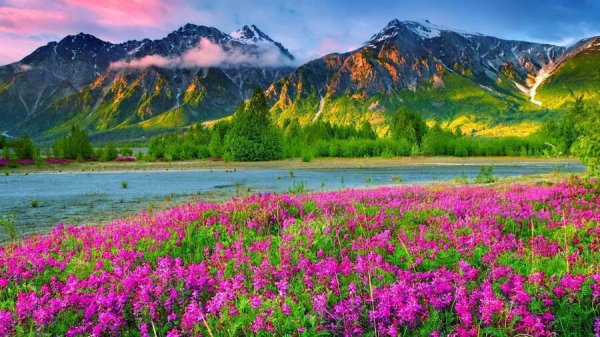  عکس بهار واقعی