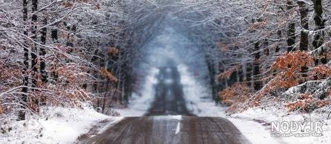  عکس پس زمینه جاده سبز با کیفیت عالی