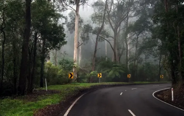 عکس تصویر زمینه جاده بارانی برای دسکتاپ