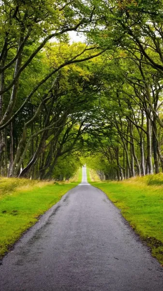  عکس تصویر زمینه جاده رویایی و زیبا با کیفیت عالی