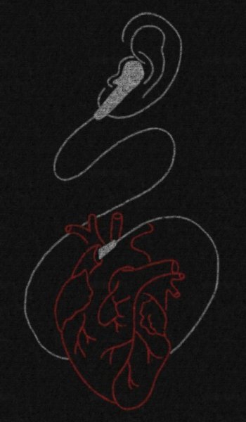  پروف موسیقی