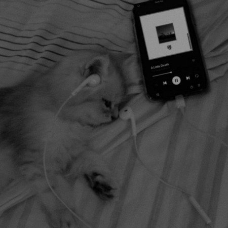  پروف موسیقی