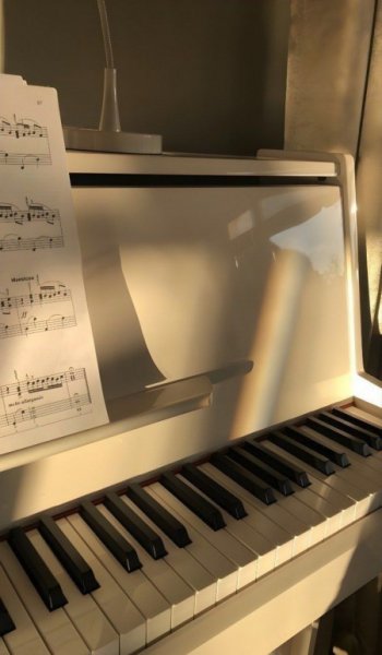 عکس موسیقی رنگی