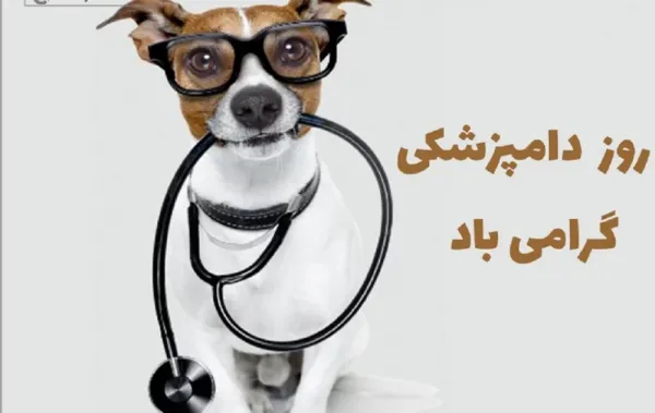  استوری روز دامپزشک