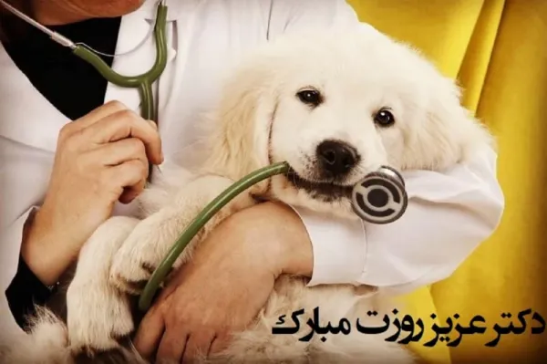  استوری روز دامپزشک