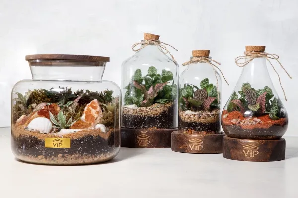  عکس باکس روز دختر