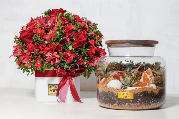  عکس باکس روز دختر