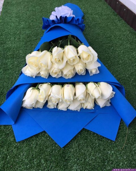  عکس گل برای معلم