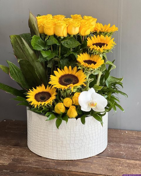  عکس گل برای معلم