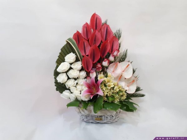  عکس گل برای معلم