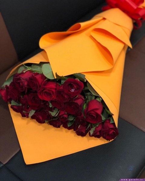  عکس گل برای معلم