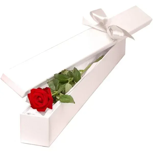  عکس باکس گل و دسته گل روز معلم