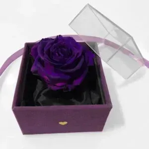  عکس باکس گل و دسته گل روز معلم