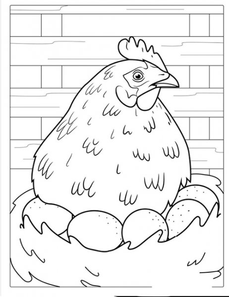 عکس تخم مرغ نقاشی