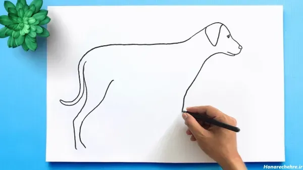 عکس نقاشی سگ آسان