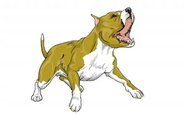  عکس سگ فانتزی زیبا