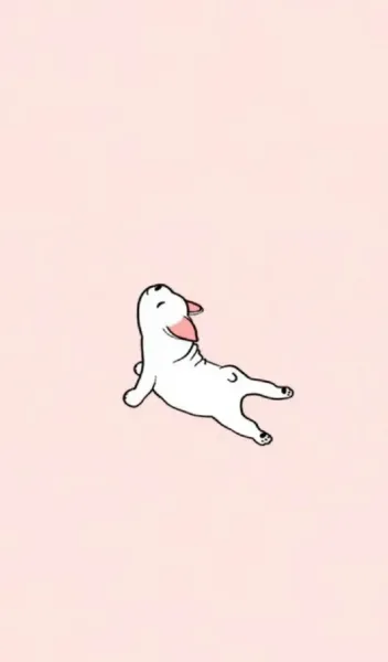  عکس سگ فانتزی زیبا