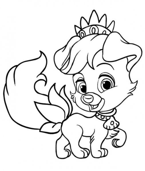 نقاشی سگ هاسکی آسان