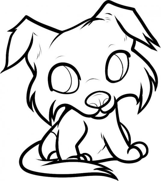 نقاشی سگ هاسکی آسان