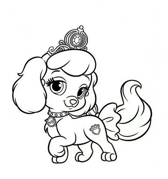 نقاشی سگ هاسکی آسان