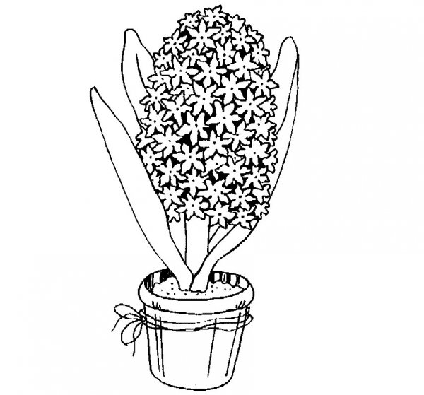 نقاشی سبزه آسان