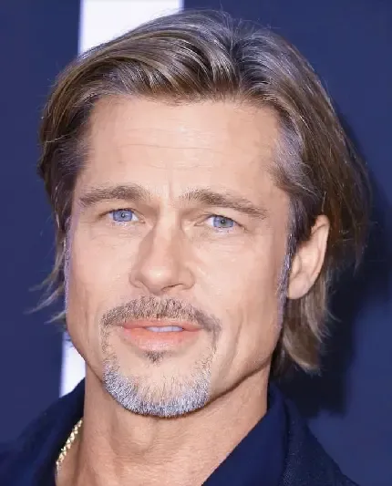  عکس برد پیت برای پروفایل