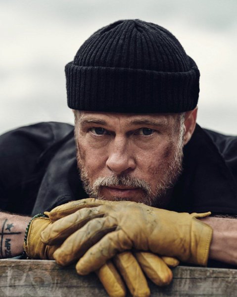  جدیدترین عکس برد پیت