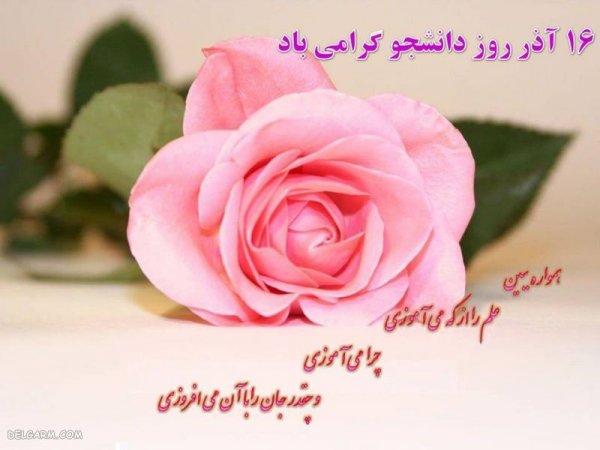 عکس نوشته تبریک روز دانشجو به پسرم