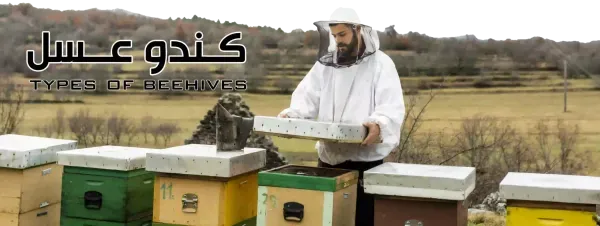  عکس کندوی عسل طبیعی