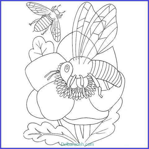 عکس کندو عسل نقاشی