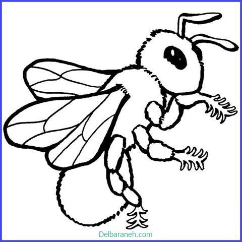  عکس کندو عسل نقاشی